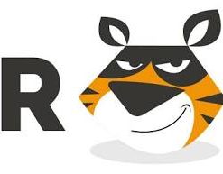 TIGER VPN Premium